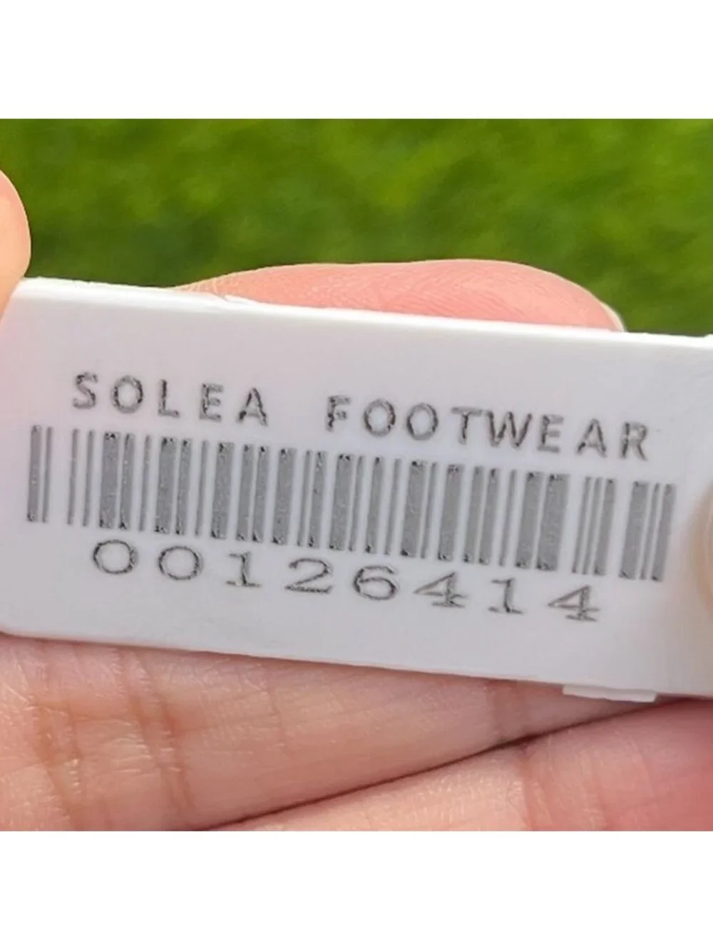 allbirds please review